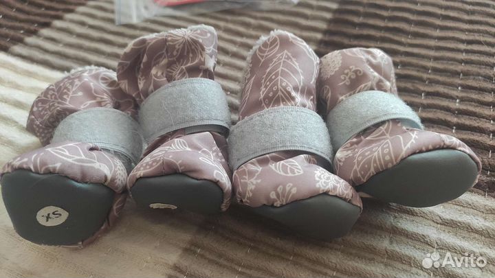 Обувь для животных