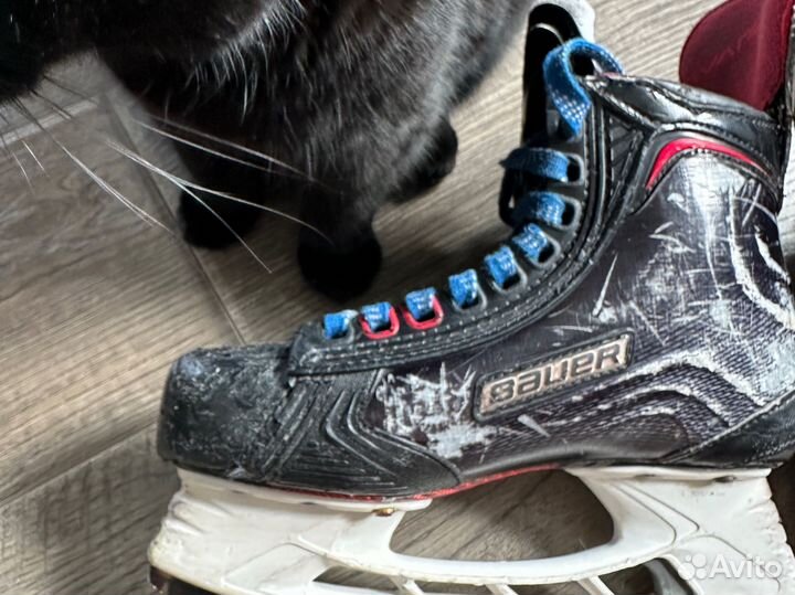 Хоккейные коньки bauer vapor 1x