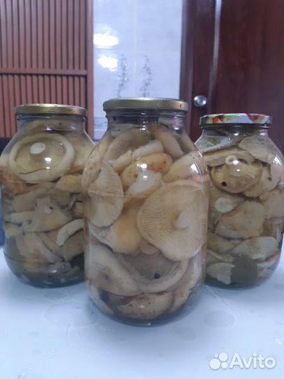 Домашние соленые грузди