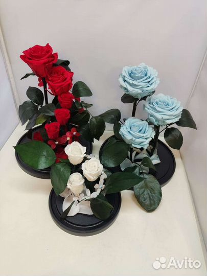 Подарок на новый год / Цветы