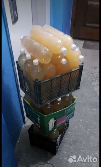 Домашний яблочный уксус 500мл