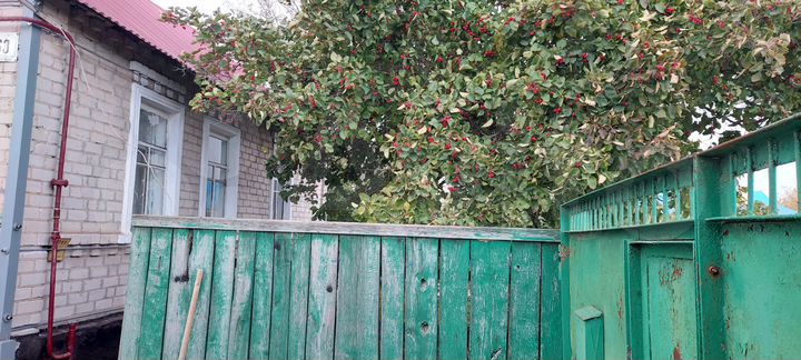 Дом 49,5 м² на участке 14,9 сот.