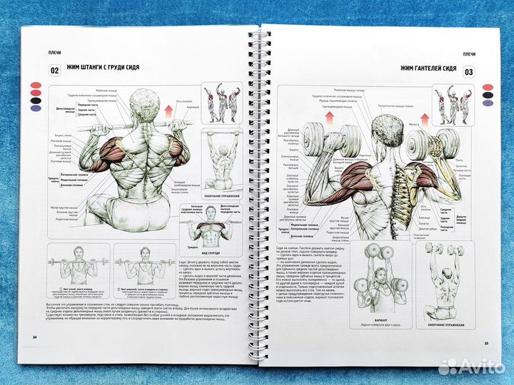 Анатомия силовых упражнений, 5-е издание