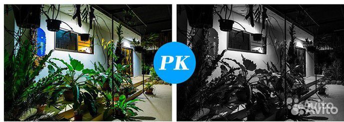 Уличная IP видеокамера, 5.0Мп, POE, SD