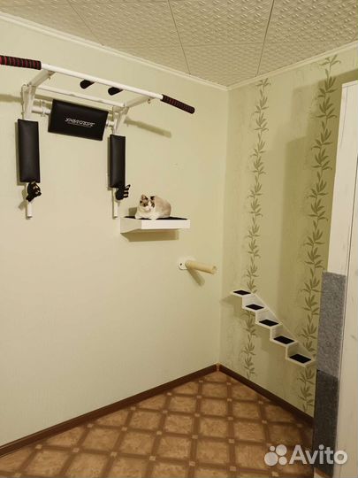 Товары для животных