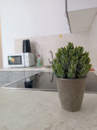 1-к. квартира, 32 м², 2/4 эт.