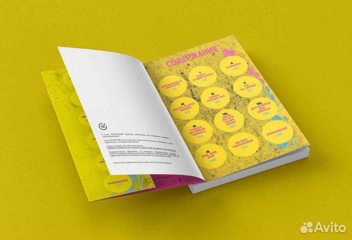 Марк Ридер b-book. Шум и ярость в Западном Берлине