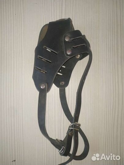 Намордник для собаки