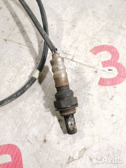 Датчик кислородный Audi Q7 внедорожник 3.0 cjtc
