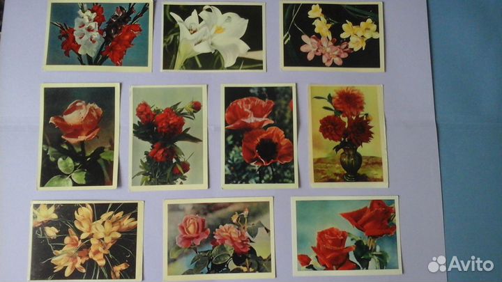 Открытки СССР 1962-1965 г