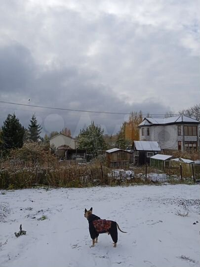 Участок 5 сот. (СНТ, ДНП)