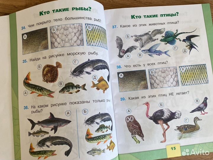 Тесты окружающий мир 1 класс