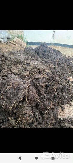 Навоз коровий