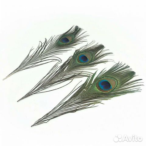 Перо Павлина Маленькое (30 см.)