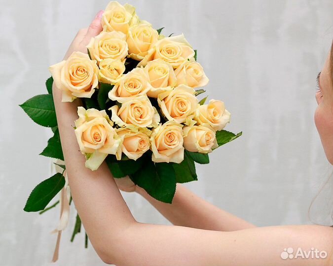 Букет из 15 кремовых роз 50-60 см (Россия)