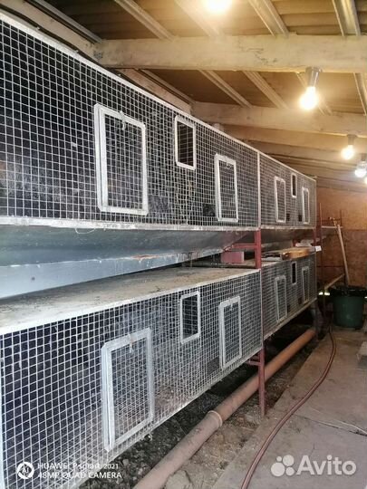 Клетки для кроликов бу