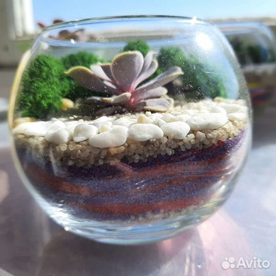 Флорариум мини с суккулентами на заказ