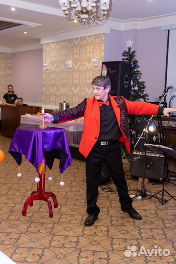 Дресерованные животные на ваш праздник