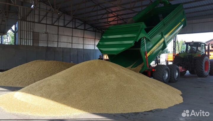 Бункер Liliani БП-25/31, 2023