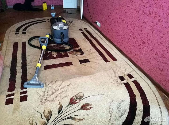Аренда моющего пылесоса