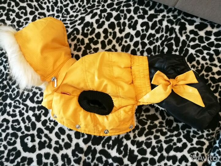 Одежда для собак