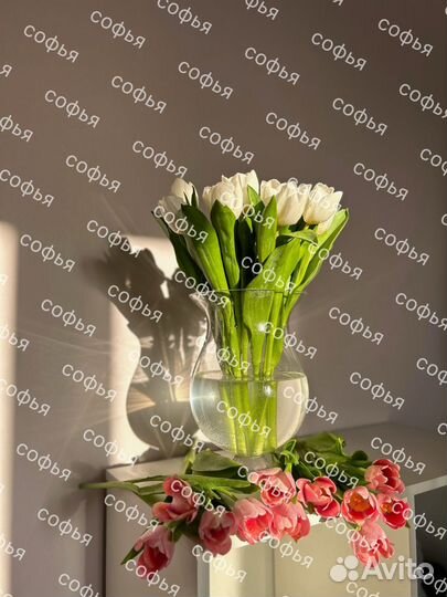 Тюльпаны к 8 марта