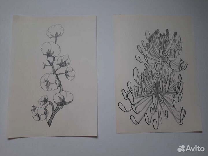 Картина графика