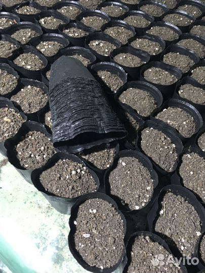 Стаканчики для рассады. Полиэтилен