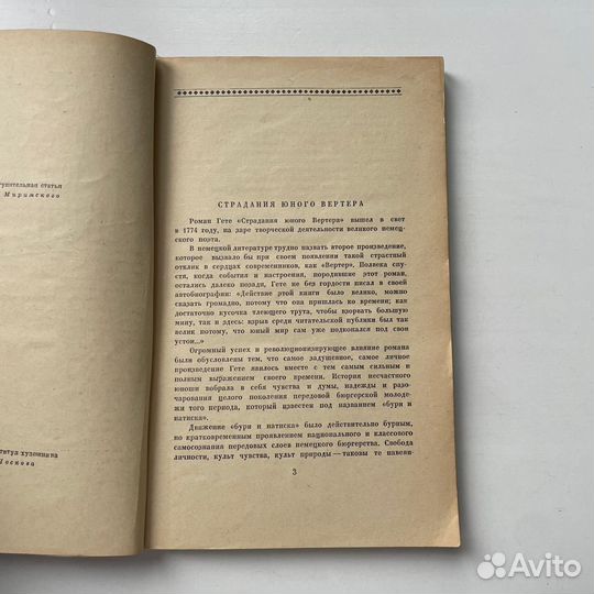 Страдания юного Вертера Гете