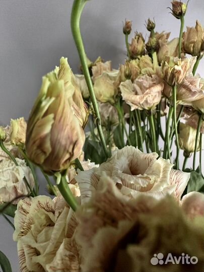 Розы, цветы оптом