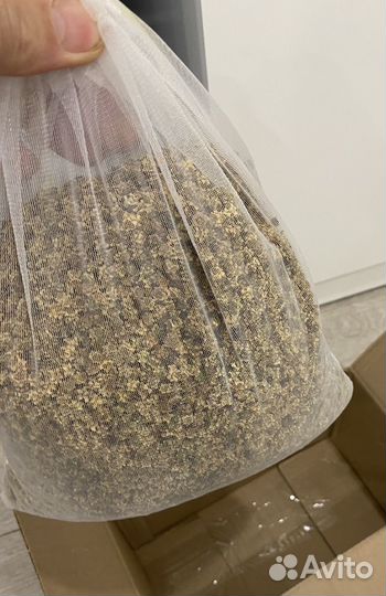 Семена кормовой свеклы коллекция