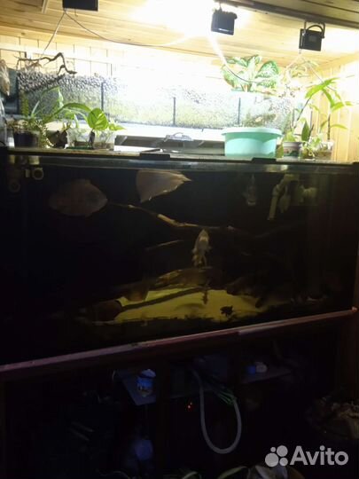 Аквариум с тумбой 760л