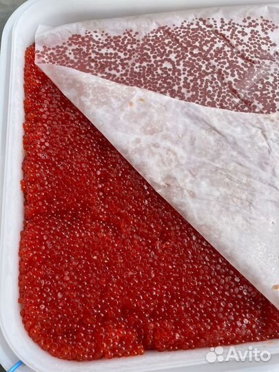 Икра красная кижуч, горбуша, кета, нерка 2023