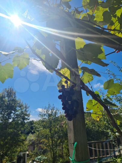 Дом 151 м² на участке 6 сот.