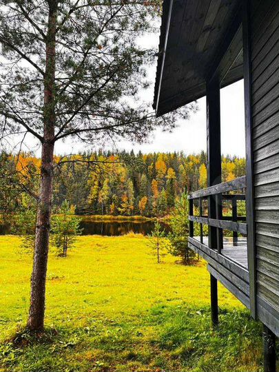 Дом 40 м² на участке 80 сот.