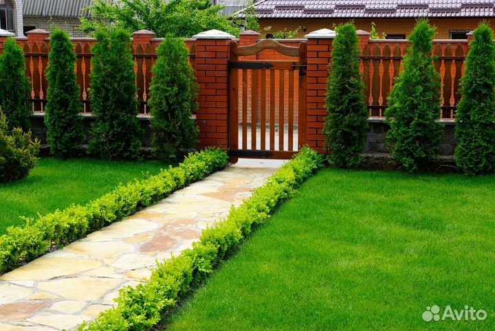 Рулонный газон - газон с укладкой