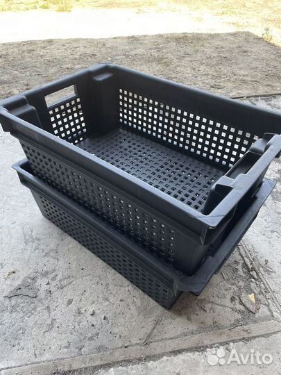 Ящик овощной