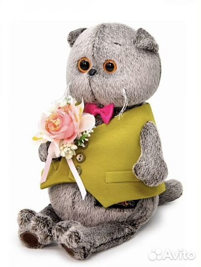 Кот басик basik