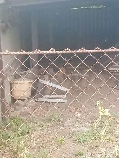 Дом 76 м² на участке 28 сот.