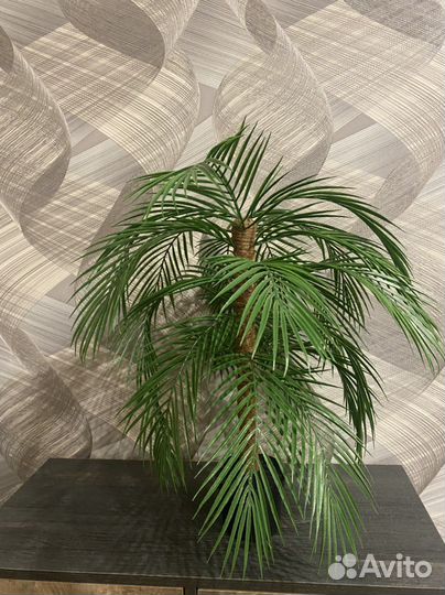 Искусивеное дерево пальма