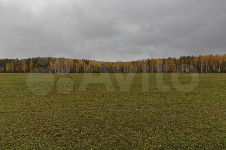 Участок 1,87 га (промназначения)