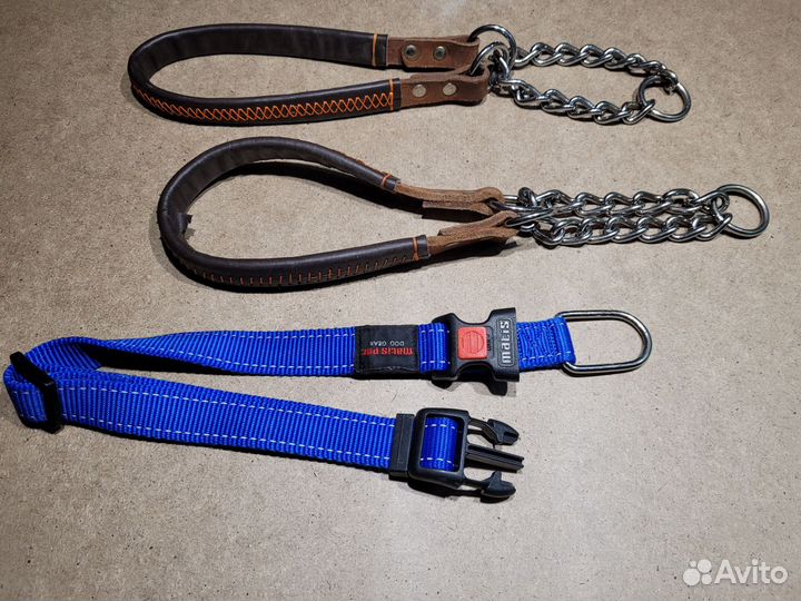 Ошейник для собак