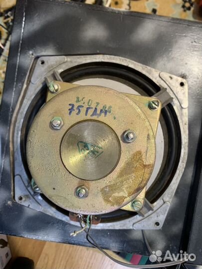 Колонки radiotehnika s90