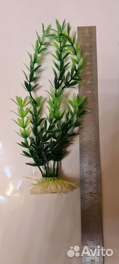 Искусственные водоросли, новые