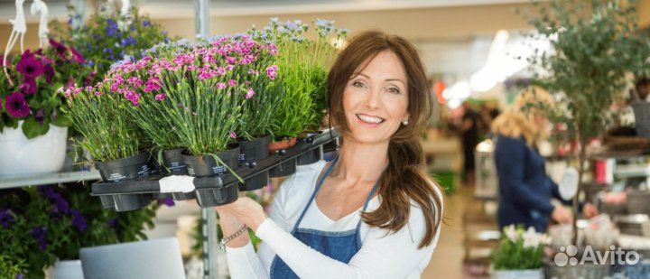 Продавец помощник флориста