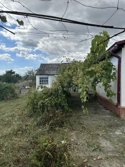 Дом 60 м² на участке 36 сот.