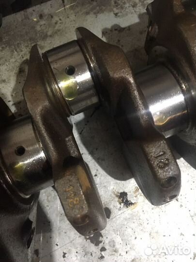 Коневал гранта