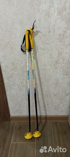 Лыжные палки