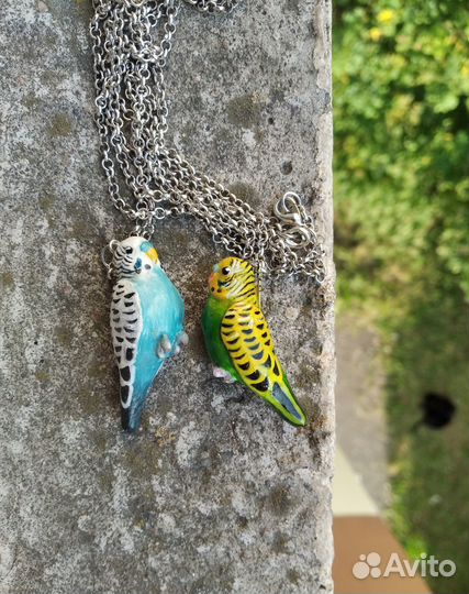 Волнистый попугай