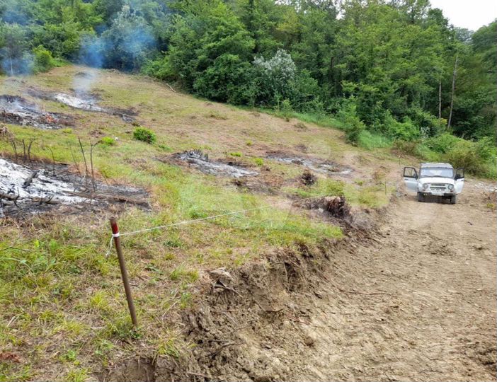 Участок 11,3 сот. (ИЖС)